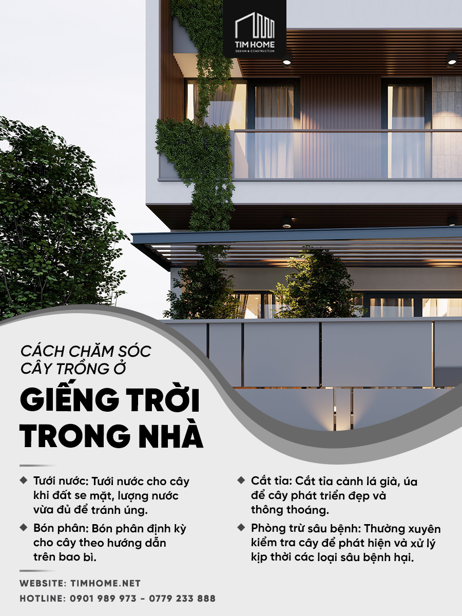 Chăm sóc cây trồng ở giếng trời trong nhà như thế nào?